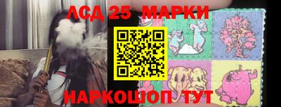 шишки Будённовск
