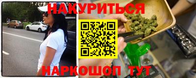 шишки Будённовск
