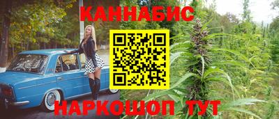 шишки Будённовск