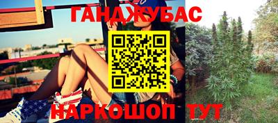 шишки Будённовск